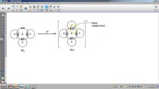 Dative Covalent Bonding Explained [upl. by Aruasi]