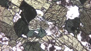 Amphibolite au microscope polarisant LPNA [upl. by Thorpe]