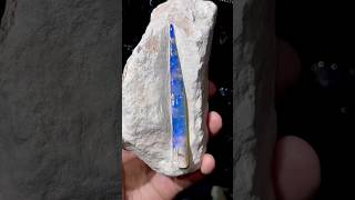 Opalized skeleton of the belemnite [upl. by Okiman]