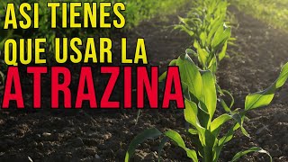 Herbicida para el cultivo de MAIZ CARACTERISTICAS MODO DE ACCION DOSIFICACION ATRAZINA [upl. by Retsevel]