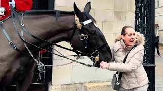 Most SHOCKING Moments Royal Guard Horses BIT Tourists [upl. by Finella]