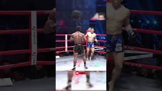 Very crispy buakaw kick is dug shortsvideo kickboxing boxing mma ufc muaythai shorts [upl. by Noyes542]