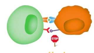 Checkpoint Inhibitors Taking the Brakes Off the Immune System [upl. by Verner799]