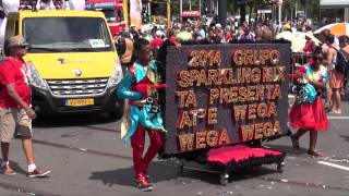 Zomer Carnaval Rotterdam 2014 [upl. by Jo-Ann]