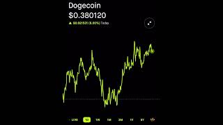 Dogecoin500 likes and I will show y’all my total dogecoin worth on robinhood [upl. by Akemyt255]