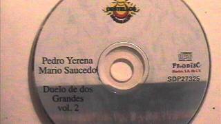 PEDRO YERENA vive felizwmv [upl. by Rehttam]