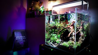 Best Planted Nano Betta Tank UNS 30c [upl. by Akira]