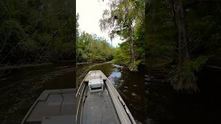 Georgia Swamp Ride gatortail prodigy jonboat fishing hunting outdoors swamp fish boat [upl. by Notslah]