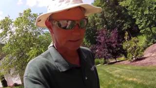 How To Control Disease in Tall Fescue Lawns Brown Patch Pythium [upl. by Lyndes]