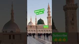 hara gumbad jo dekhoge lyrics ।hara gumbad jo dekhoge lyrics urdu love mohammad naat naatstatus [upl. by Ademla930]