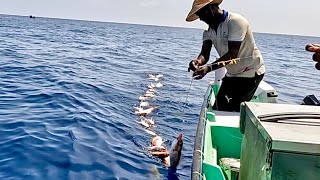 Deep Sea Fishing for Rosy Snapper [upl. by Irvin917]