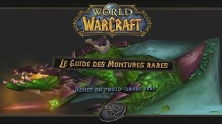 Le Guide des montures rares de World of Warcraft RÊNES DE PROTODRAKE VERT [upl. by Euqinotna947]