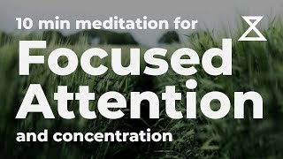 10 Minute Guided Meditation for Focused Attention and Concentration No Music Voice Only [upl. by Coshow961]