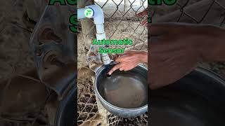 गोठयात ऑटोमॅटिक पिण्याच्या पाण्याची सोय indianfarmer drinkingwater jugaad shorts [upl. by Honoria]