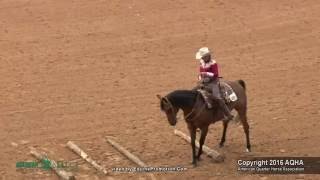 A Judges Perspective 2016 Select Ranch Riding World Champion [upl. by Ennobe]