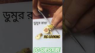 ডুমুরের কার্যকারিতা Benefits of Figfood [upl. by Nalod366]