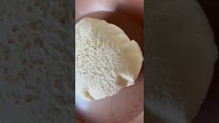 How to make Pita Bread at home breadrecipe pita [upl. by Ayian]