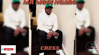 MR MOOI NGARO CRESS [upl. by Dahlia]