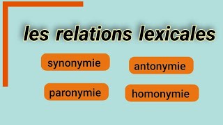 les relations lexicales synonymie antonymie  paronymie  homonymie [upl. by Aniles]