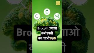 Dekiye kaise ugaate hai Brocolli shorts farming farmers agriculture facts hindi songs [upl. by Gnourt]