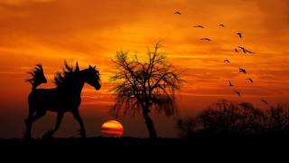 The Relaxing sound of a Horse Walking  clip clop Horses Hooves [upl. by Aenitsirhc]