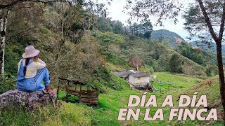 MIS DÍAS VIVIENDO en una FINCA de 5 HECTÁREAS │Candy Bu [upl. by Beauregard]