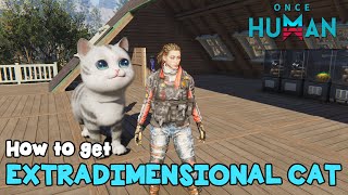 Once Human How to get Extradimensional Cat [upl. by Aihcropal970]