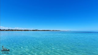 Maragogi Alagoas Roteiro De Um Dia Em Praia De Peroba [upl. by Aihsik495]