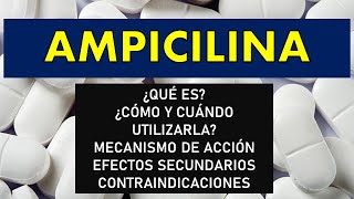 🔴 AMPICILINA  PARA QUÉ SIRVE EFECTOS SECUNDARIOS MECANISMO DE ACCIÓN Y CONTRAINDICACIONES [upl. by Edan]