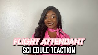 Flight Attendant Schedule Reaction  October 2024 [upl. by Jahncke538]