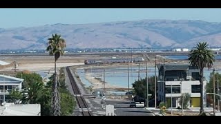 The Coast Starlight cruises through Alviso California [upl. by Ennej]