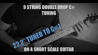 Double Drop C 9 string on a short scale guitar [upl. by Chil]