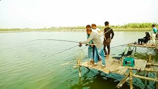 Village fishermen are overjoyed as they catch huge fish ।। You dont believe such [upl. by Kosiur]