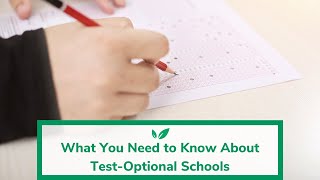 What You Need to Know About TestOptional Schools [upl. by Ylrebmek]