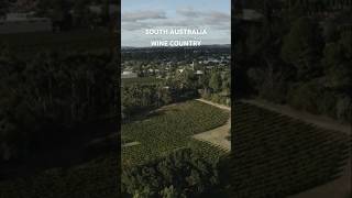 Explore Barossa Valley South Australia’s Premier Wine Destination [upl. by Nevuer]