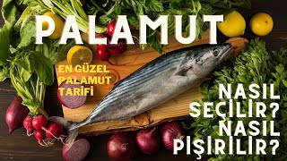 Palamut nasıl alınır Nasıl pişirilir En güzel palamut tarifi [upl. by Noneek]