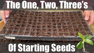 Start Seeds Like a Pro Prepping Propagation Trays [upl. by Krenek794]