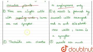 Distinguish between tracheids and vessels [upl. by Dnomse]