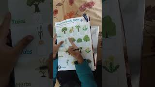 How to know about learning Trees Shrubs Herbs Climbers [upl. by Repooc104]