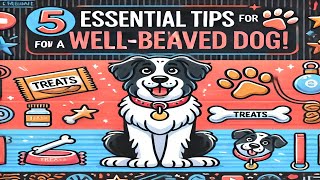 5 Essential Tips for a Well Behaved Dog [upl. by Ahsienat280]