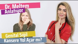 Genital Siğil Kansere Yol Açar Mı HPV ve Rahim Ağzı Kanser İlişkisi DrMeltem Anlatıyor [upl. by Oiramrej695]