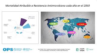 Charla en Resistencia en Gram Negativos Enfasis en Enterobacterias Resistentes a Carbapenemicos [upl. by Eelarak]