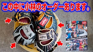 Rawlingsローリングス2024年のオーダーが凄い！Rawlingsのカタログ解説しながら熱く語ります！ [upl. by Anirdna452]