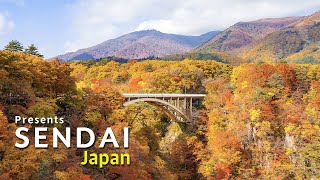 AM Holiday Travel Presents Sendai Japan [upl. by Cassell]