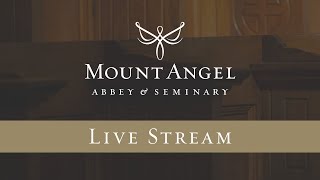 Mount Angel Abbey Live Stream [upl. by Euqinad]