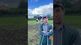 Partie 9 qui remportera le cœur de JeanJacky 💥🐄 parodie humour maman [upl. by Komara]