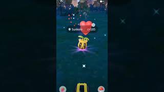 I Got Wild Shiny Sunkern pokemongo pokemon trendingshorts shorts shiny subscribe trending [upl. by Mil180]