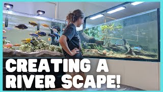 Creating a river rainbow fish scape Tank Setup Part 5 [upl. by Tybalt]