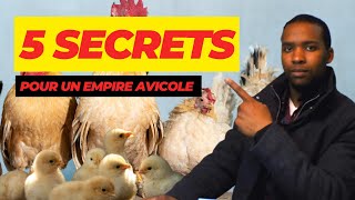 quot🚨URGENT🚨 5 Secrets Pour Faire de lÉlevage de Volaille en Afrique un Empire Rentablequot [upl. by Ailatan]