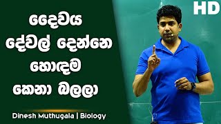 දෛවය දේවල් දෙන්නෙ හොඳම කෙනා බලලා  Dinesh Muthugala [upl. by Donahue]